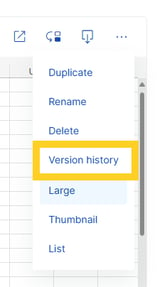 How to View Versions of a File