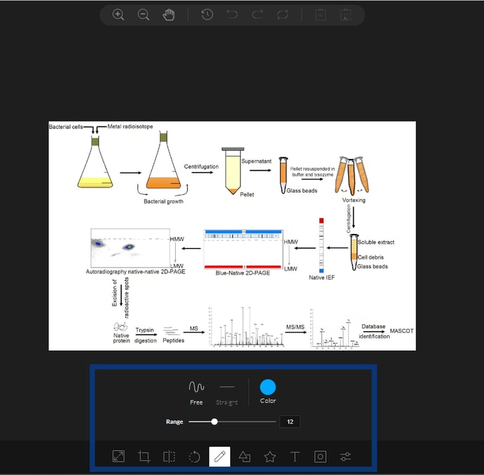 Image Annotation Tool 