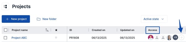Project Access Column 2025