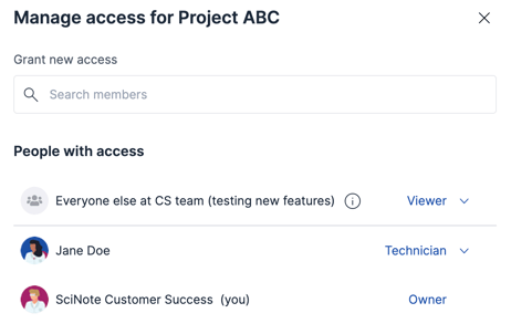 Project Access Roles 2025