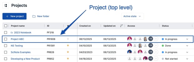 Project Example Table 2025