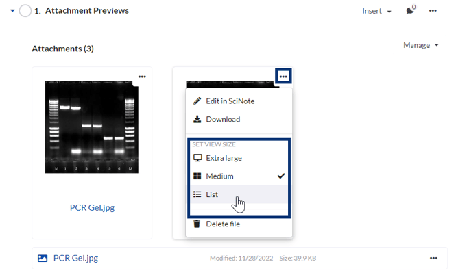 previewing files inside scinote